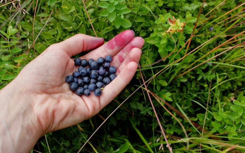 _MG_6910 - Version 2