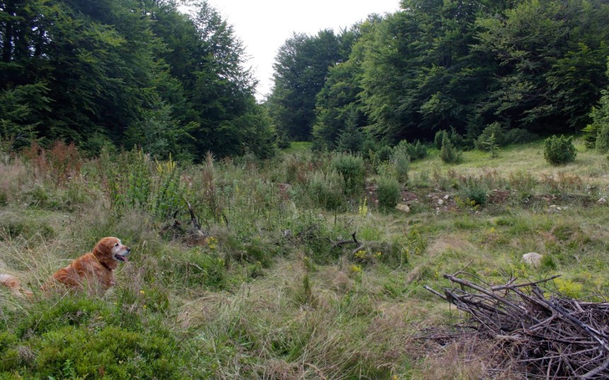 _MG_6914 - Version 2