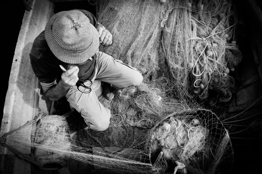 Art - Herencic Inia 01