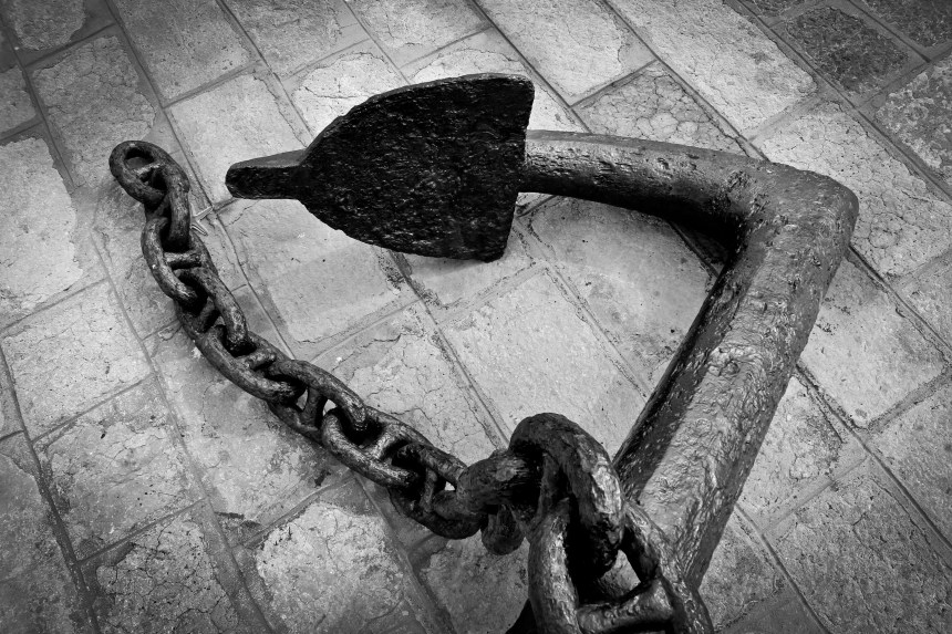 Art - Herencic Inia 03 (3)