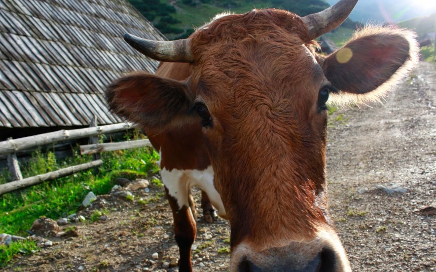 _MG_7101 - Version 2